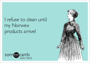 -i-refuse-to-clean-until-my-norwex-products-arrive-b8992